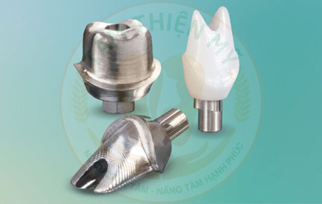 abutment cá nhân hóa giá bao nhiêu