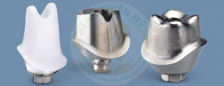 Tại sao nên chọn khớp nối phục hình cá nhân hóa điện phân 2 khớp nối cá nhân hóa điện phân và khớp nối tiêu chuẩn